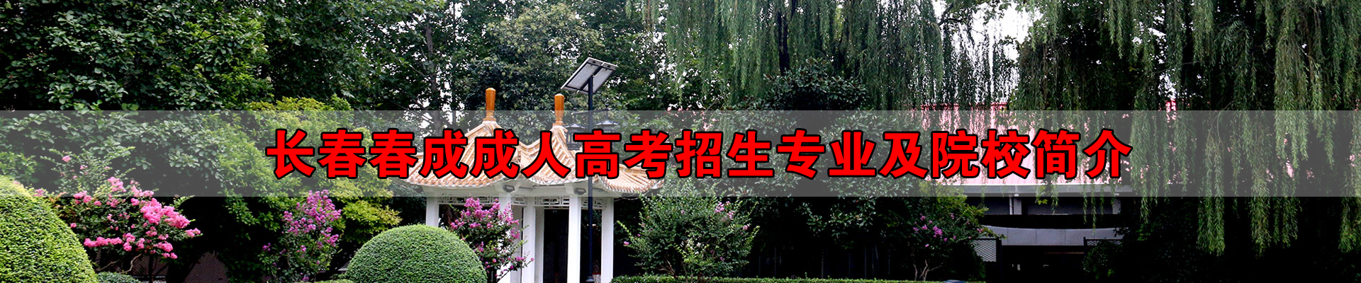 长春春成教育
